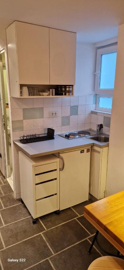 Micro Appartement Belgrado Buitenkant foto